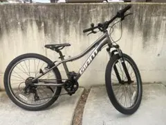 2025年最新】ジャイアント 自転車 24インチの人気アイテム