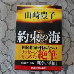 「約束の海」(山崎豊子)