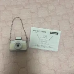 Item thumbnail for item a7c822ac-1f8a-4390-9e52-2a4395785d62