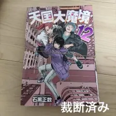 天国大魔境　12 裁断済み
