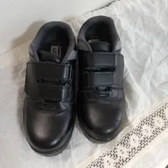 安全靴 プロノ 24 .5㎝
