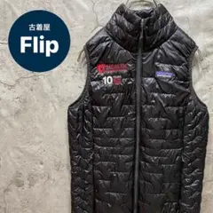 【入手困難】Patagonia 中綿ベスト 刺繍ロゴ 希少 ブラック 個性派