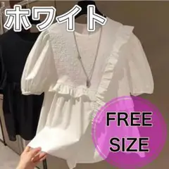 【大人気】フリルブラウス ホワイト シャツ 韓国 カジュアル シンプル 半袖