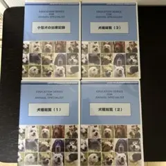 犬種　DVD （レア）