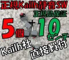 【正規】静音マウス用 Kailh製クリックスイッチ５ケ＋１０cm MUTE ①
