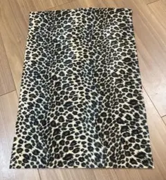 Item thumbnail for item abcfbc6f-c514-4372-b067-e2723cddcc07