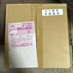 メガブレイブ　ポケモンセンターセット　未開封