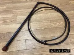 Item thumbnail for item 4e21554d-abd4-4015-b860-1ff261cec8e1
