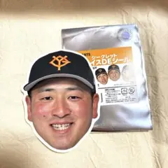 【新品未使用】ジャイアンツ　岸田行倫フェイスDEシール　シークレット