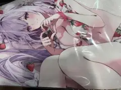 c106 NIGHT WEAR motto キャストリス　プレイマット