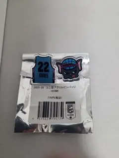 Item thumbnail for item f3de1ba6-b516-41f8-b450-450b0017ff1a