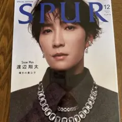 SPUR 12月号 SPECIAL EDITION 渡辺翔太