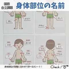 身体部位の名前4シート モンテッソーリ 知育 療育教材 保育 特別支援