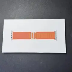 【純正】アルパインループ　S/M Apple Watch 新品同等品