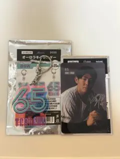千葉ロッテマリーンズ 寺地隆成選手　クリアカード、オーロラキーホルダーセット