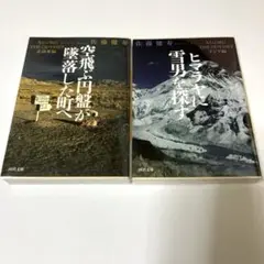 2025年最新】奇界遺産（2） [ 佐藤健寿 ]の人気アイテム - メルカリ