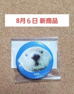 鳥羽水族館 キラちゃん ラッコ 缶バッチ ブルー