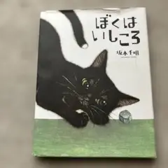 ぼくはいしころ