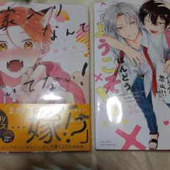 商業 BL 新刊 含 組み換え可能　嫁入りなんて聞いてない！