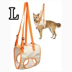 Item thumbnail for item c834634f-8711-40ae-b4c7-0d592817e803