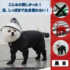 Item thumbnail for item 5f1df83e-c9f3-4737-a59c-e411821d1c8e