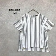 Item thumbnail for item 29513df4-bf51-4d7b-b4ee-554b08dd07e9