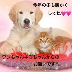 Item thumbnail for item 6e563eba-4147-4866-8ac0-edfa030997cf