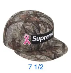 Item thumbnail for item 3a4cc316-e1a8-49d2-9caa-a386e9605c82