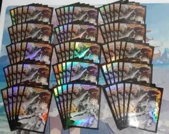 ドラグマ エクレシアとアルバス 公式スリーブ 75枚 中古