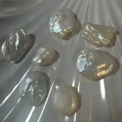淡水パール 8個