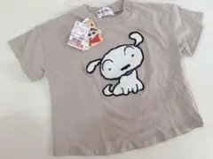 クレヨンしんちゃん　シロ　Tシャツ　90 しまむら