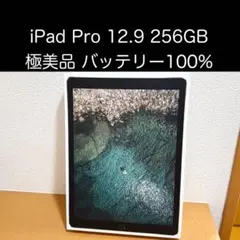 iPad Pro 12.9 第2世代 極美品 バッテリー100%