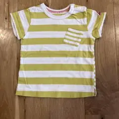 hakka★ストライプTシャツ 黄緑と白★90