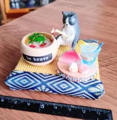 釣り猫とスイーツ.ミニチュア（ハチワレ）
