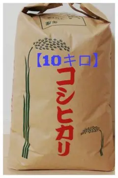 【季節限定品】精米10kg【コシヒカリ】 格安訳あり4年産新米
