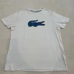 Lacoste ロゴ刺繍 ホワイト Tシャツ
