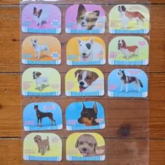 【即購入可】いっしょにワンワン　カード13枚