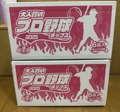 【未開封】プロ野球チップス 2025 第1弾 6袋入り(カード12枚)2箱セット