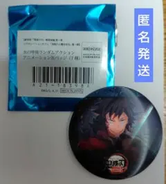 鬼滅の刃　無限城編　ランダムアクションアニメーション缶バッジ　冨岡義勇　A