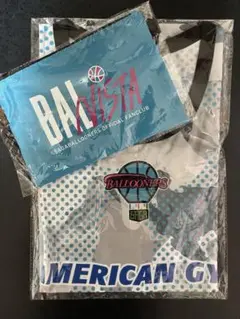 Item thumbnail for item 60137ee1-d72f-408c-9f3b-22d497910ee0