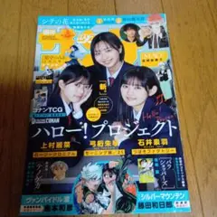 週刊少年サンデー24★2025年5月28日号★