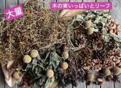木の実いっぱいとリーフ 大量 ヘクソカズラ ドライフラワー 花材 ボタニカル