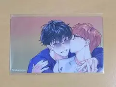 【同梱割引あり】セックスセールスドライバー クリアカード