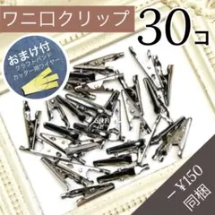 【M11-3】ワニ口クリップ 30個【匿名配送】クラフトバンド PPバンド