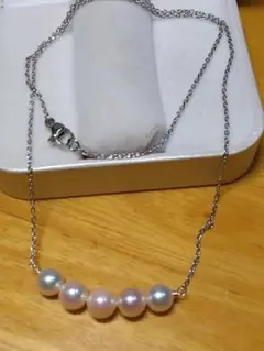 Item thumbnail for item 80a4c6af-1431-4c33-9387-3d1142485bb2
