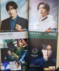 目黒蓮　REGZA カタログ