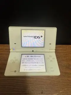 NintendoDS 簡易動作確認済み 白