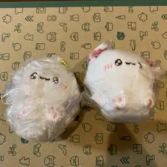 ふわきゅん ちむむ ガチャ