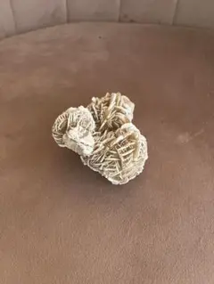 砂漠の薔薇