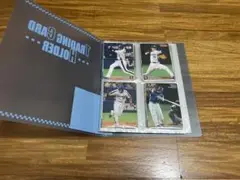 Item thumbnail for item b19d90a3-c6bd-4791-a437-b2b9779a23a2